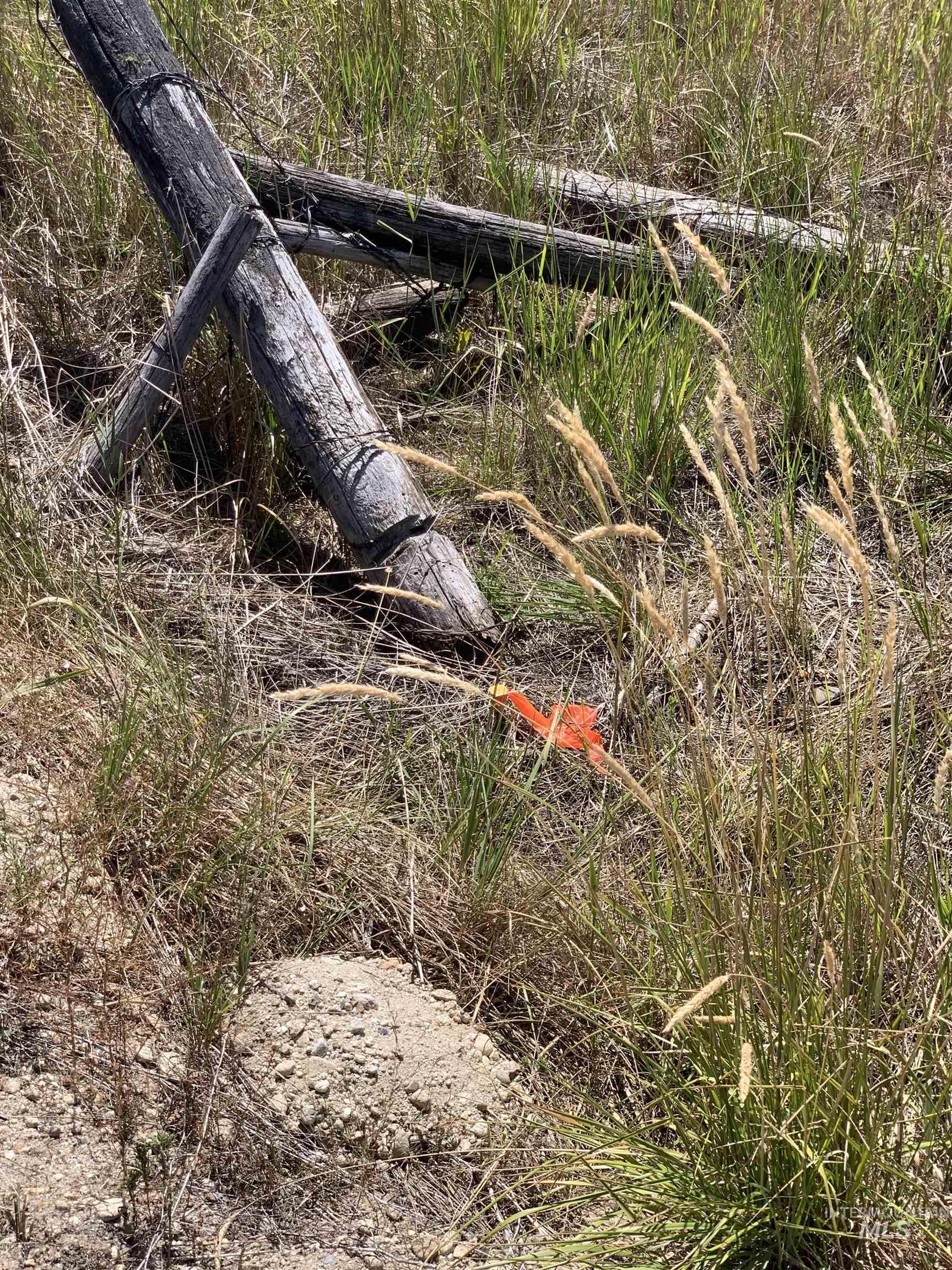 Tbd Coho Lane McCall, ID 83638 - Photo 8 of 8