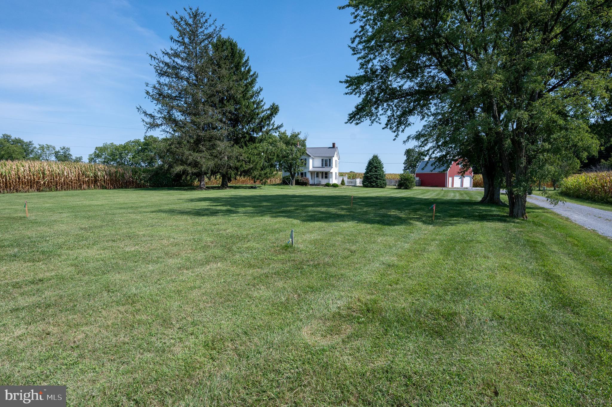 4855 Stonesifer Road Taneytown, MD 21787 - Photo 56 of 65 a view of a trees in a yard