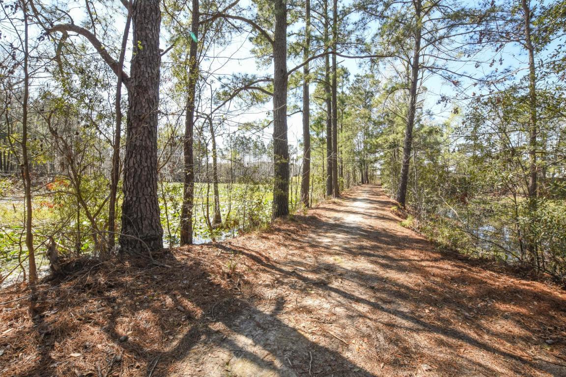 8017 Mckayla Road Summerville, SC 29483 - Photo 49 of 51 wonderful walking Trail