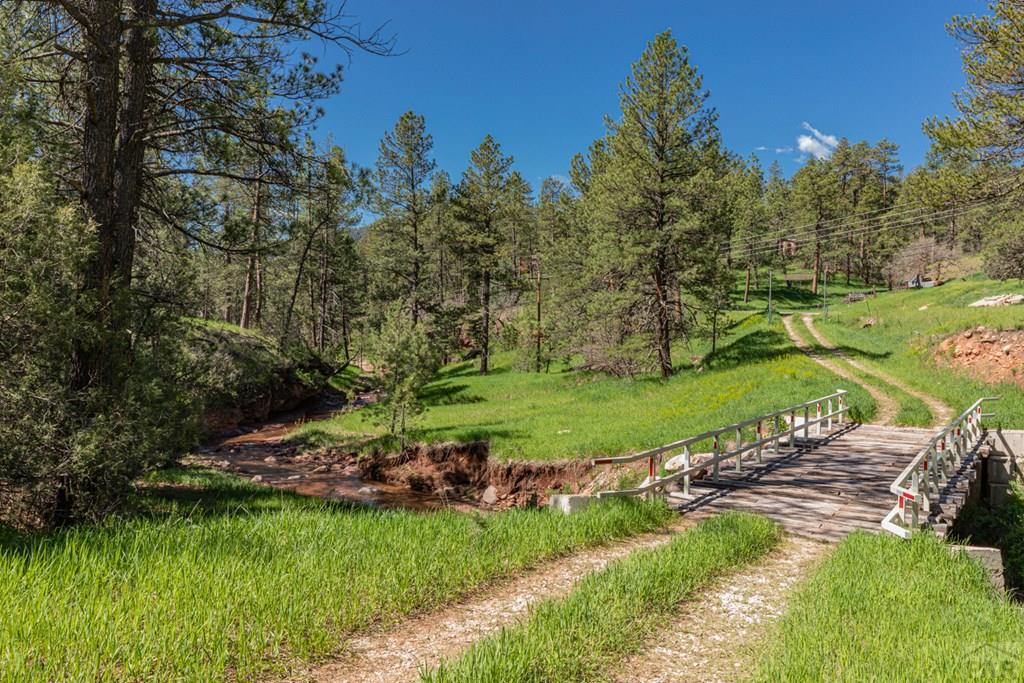 Tbd North Northcreek Road Beulah, CO 81023 - Photo 6 of 8