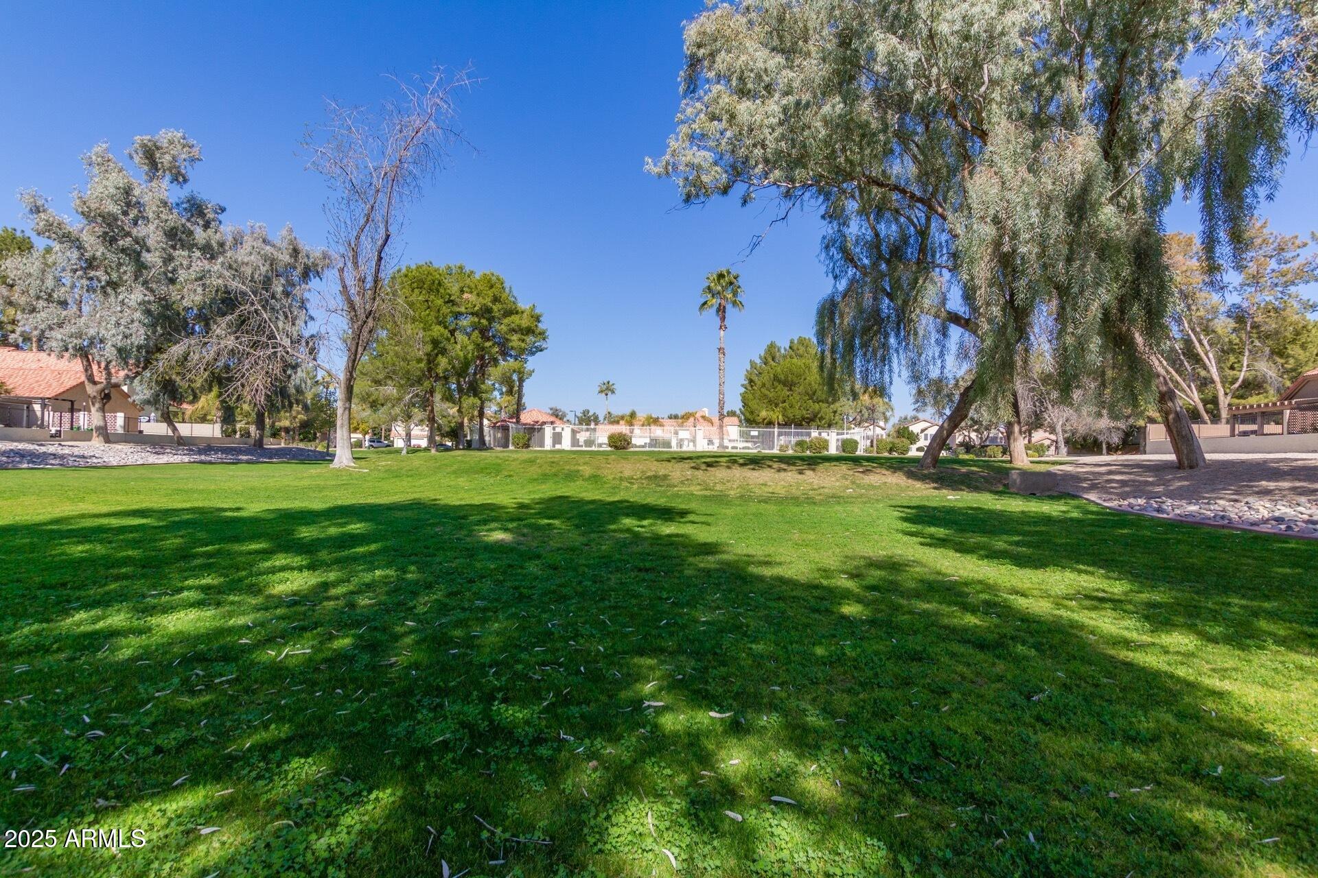 1534 East Mineral Road Gilbert, AZ 85234 - Photo 36 of 48 Large grass areas