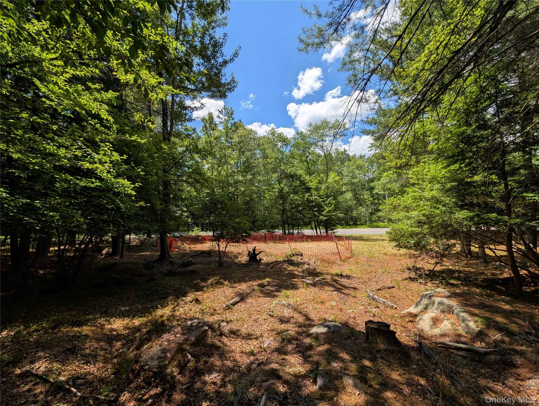 Ballard Road Bethel, NY 12720 - Photo 1 of 10