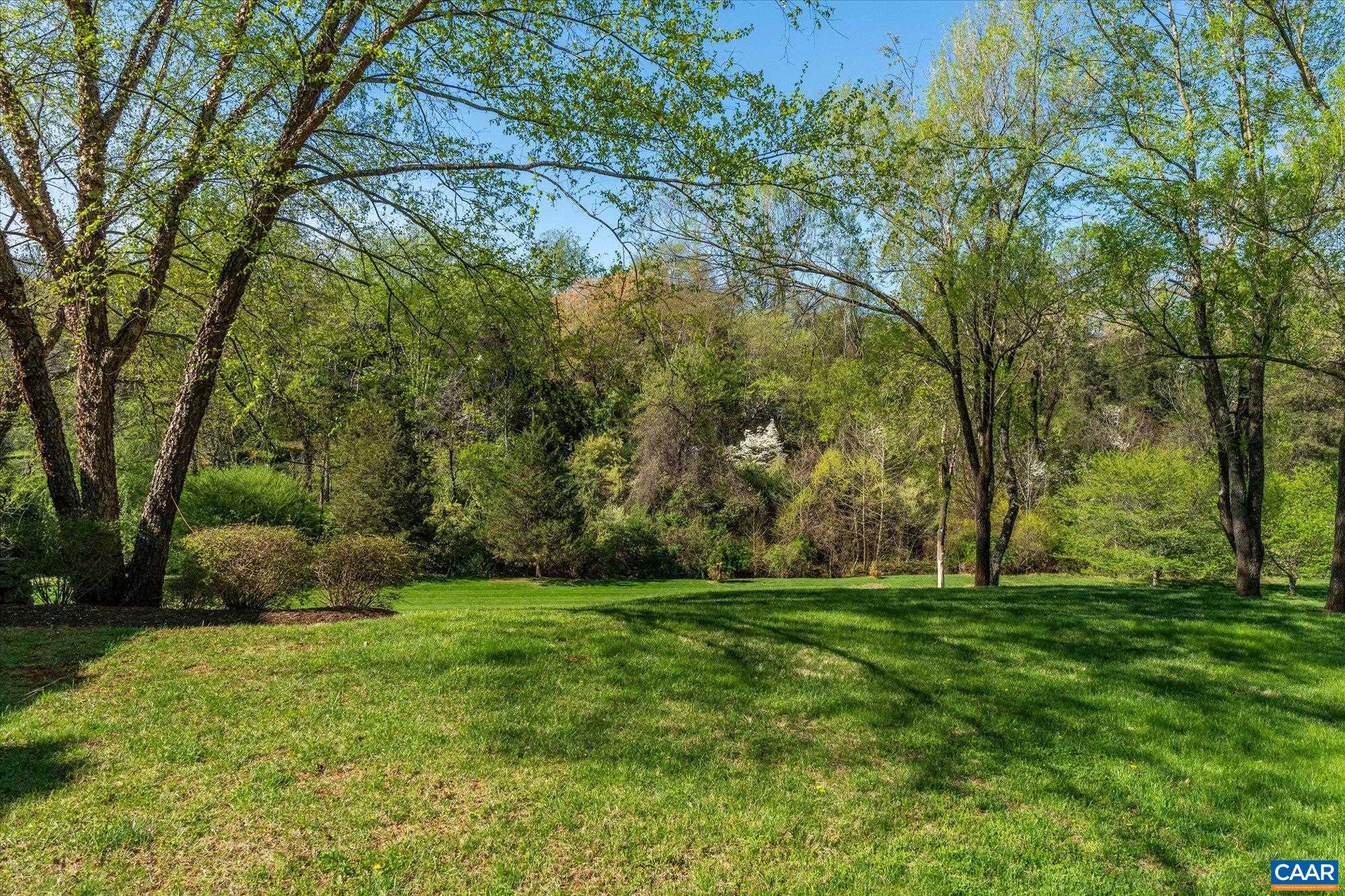 3135 Rocks Farm Court Charlottesville, VA 22903 - Photo 60 of 75 a backyard of a house with lots of green space