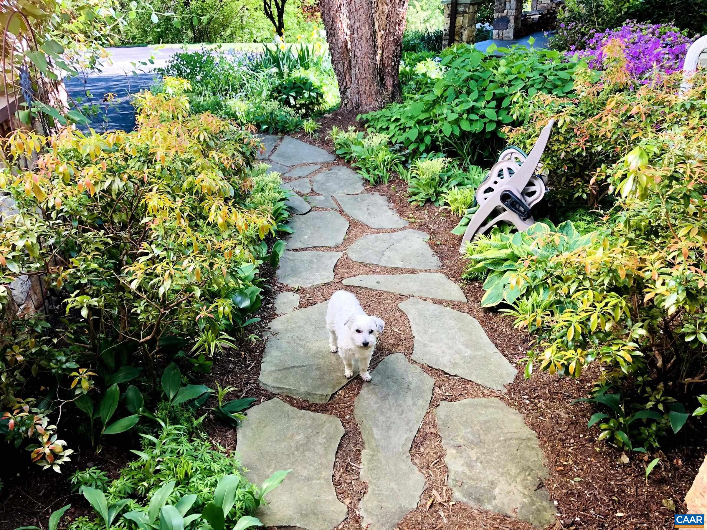 3135 Rocks Farm Court Charlottesville, VA 22903 - Photo 71 of 75