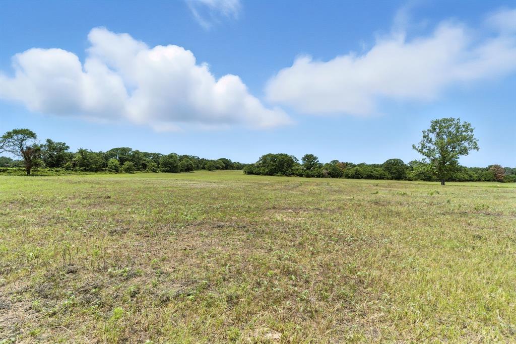 2200 Addison Road Lipan, TX 76462 - Photo 13 of 30