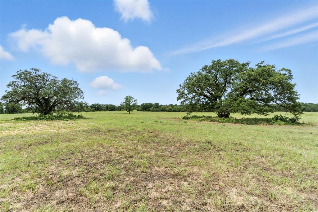 2200 Addison Road Lipan, TX 76462 - Photo 3 of 30