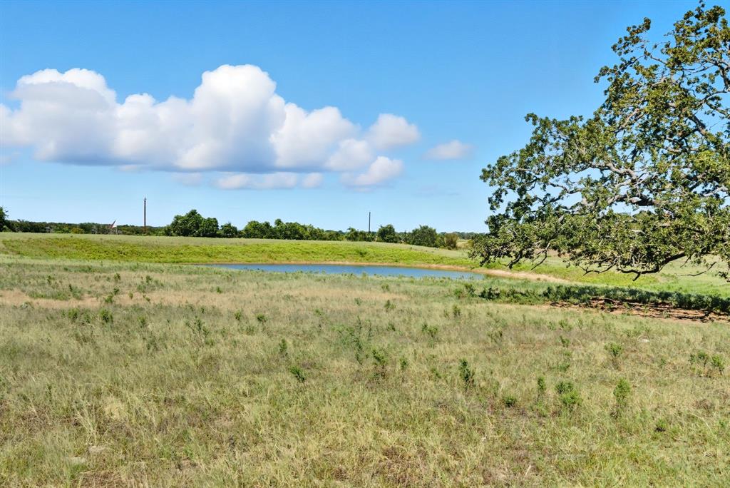 2200 Addison Road Lipan, TX 76462 - Photo 7 of 30 a view of a big yard with large trees