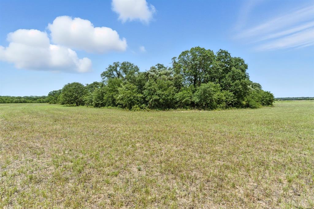 2200 Addison Road Lipan, TX 76462 - Photo 8 of 30 a view of a lake