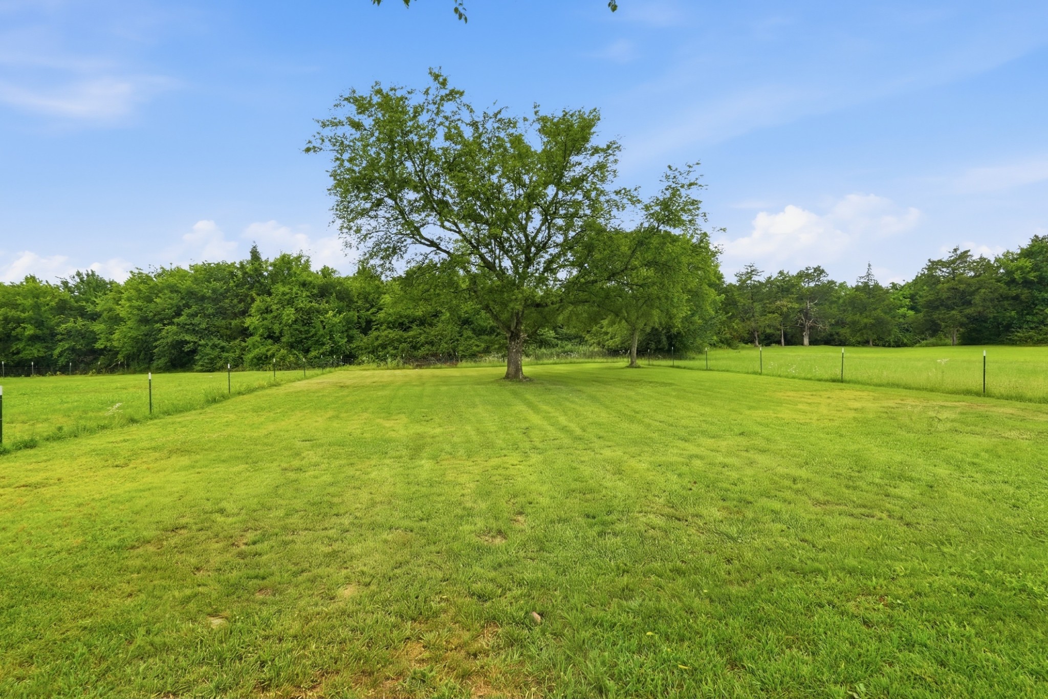 1569 Ringwald Road Murfreesboro, TN 37130 - Photo 23 of 31