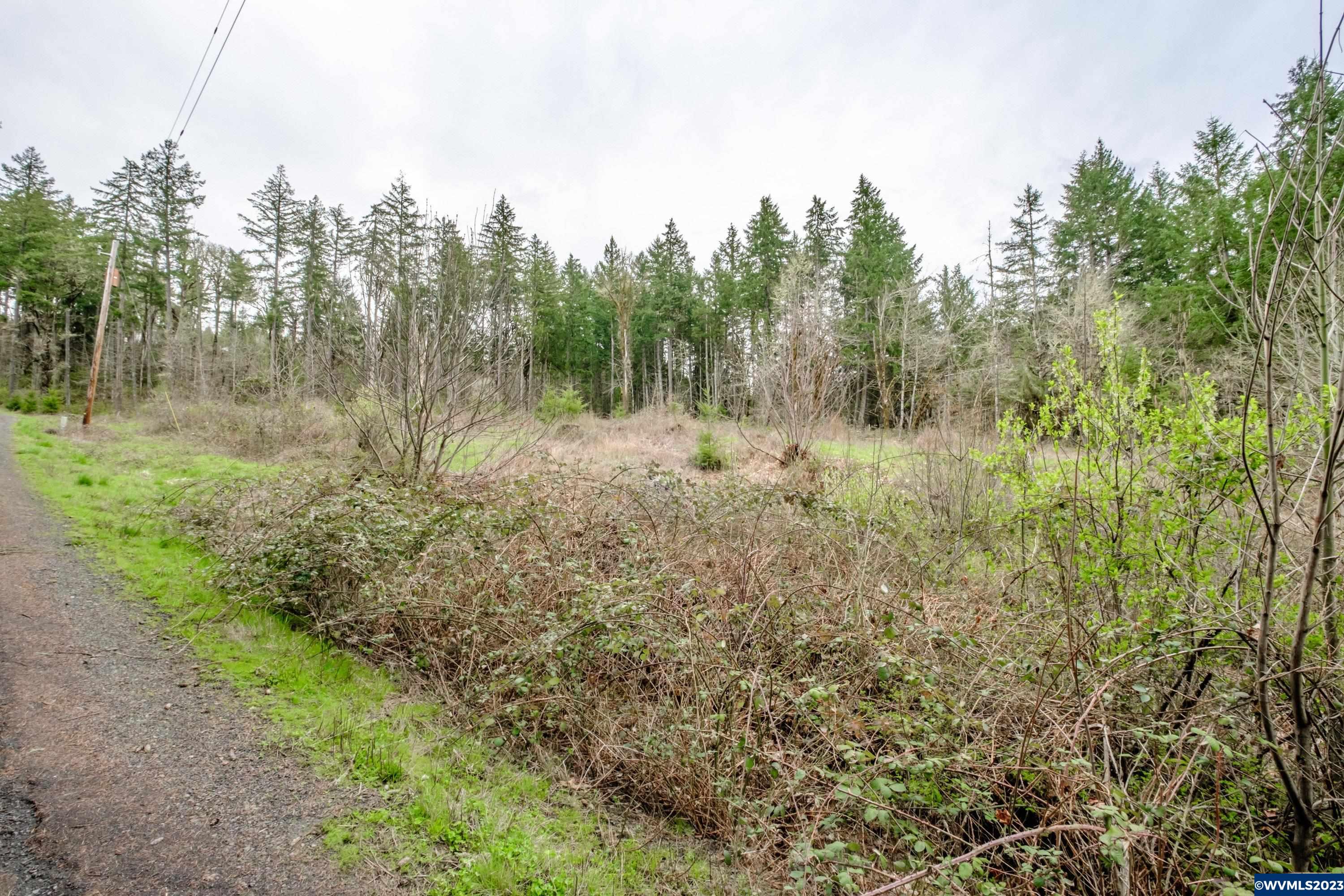 5891 Kings Ridge Road Dallas, OR 97338 - Photo 4 of 42