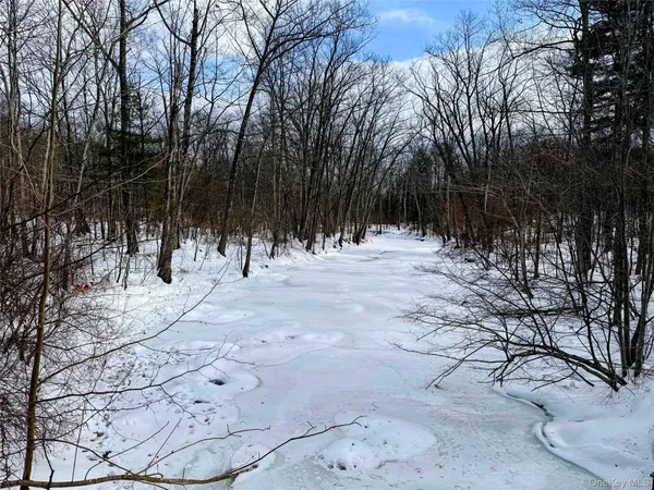 a view of outdoor space with trees