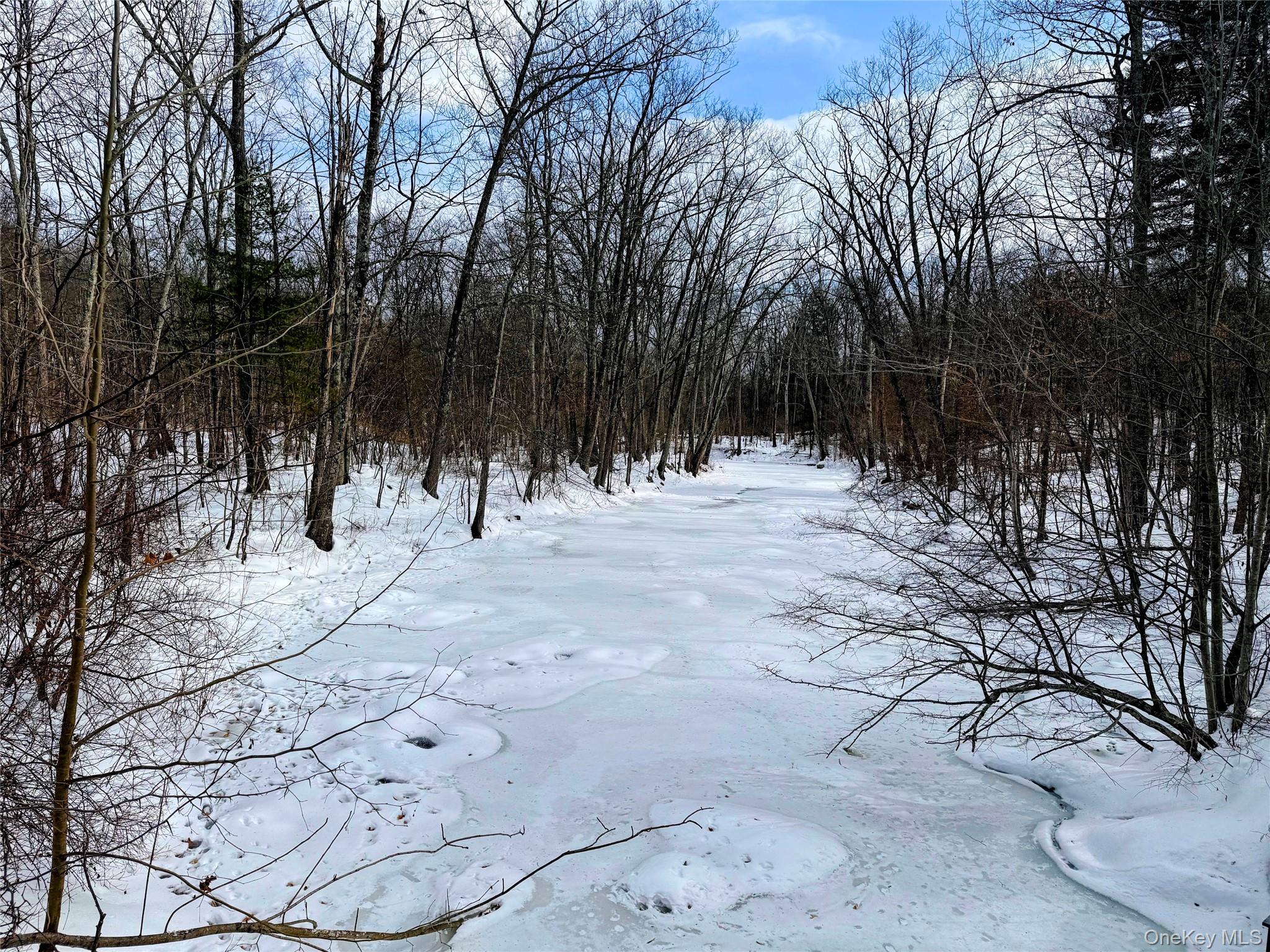 444 Hoagerburgh Road Wallkill, NY 12589 - Photo 18 of 31