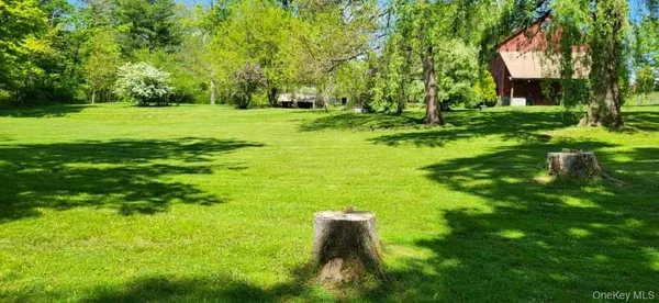 a big yard with lots of green space and trees