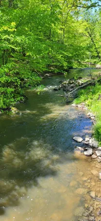 a view of a water fountain