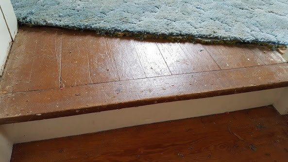 7913 Ball Road Bahama, NC 27503 - Photo 17 of 25 Hardwood floor under carpet