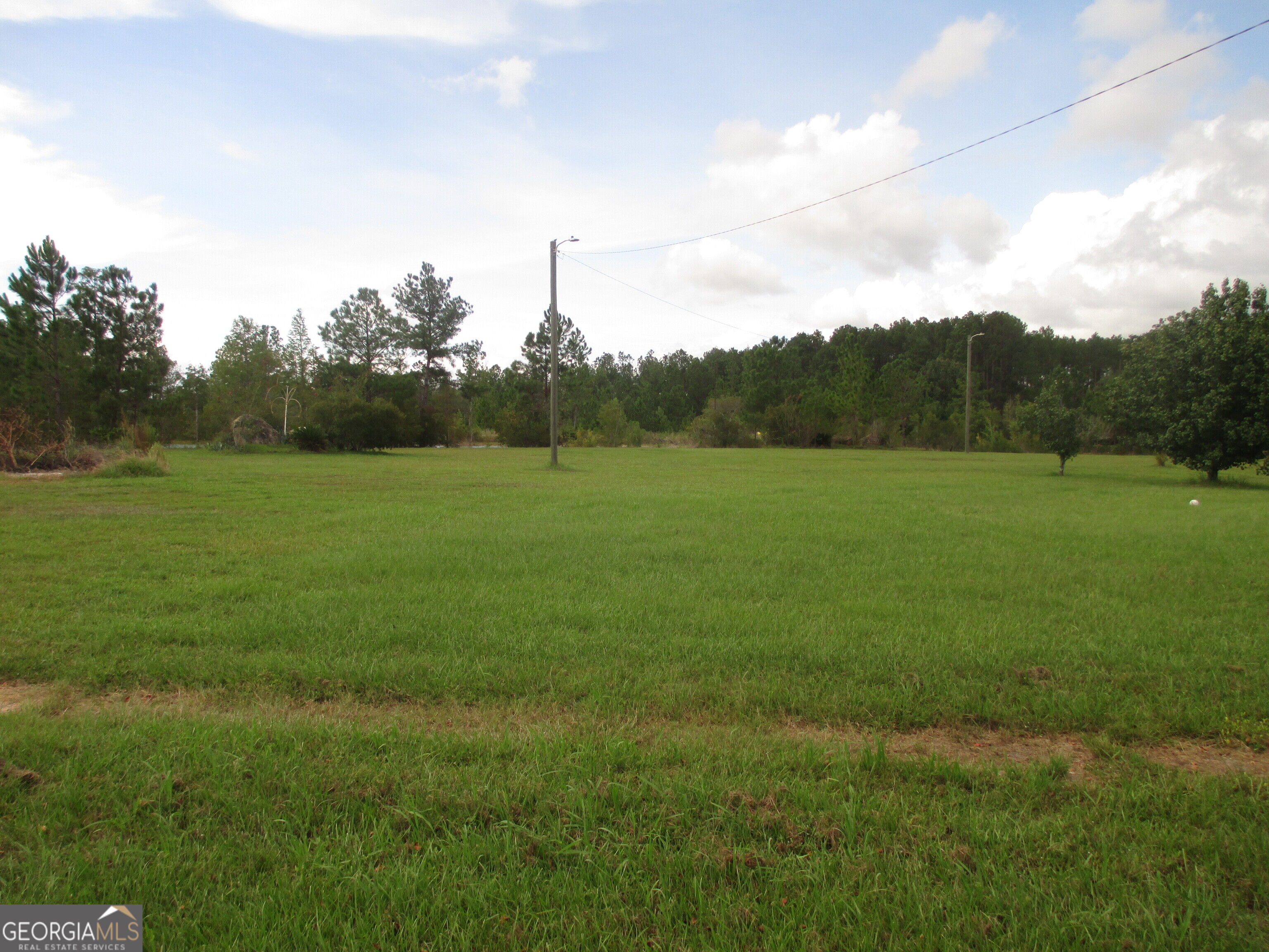 646 Foster Steadham Road Baxley, GA 31513 - Photo 6 of 48 Gallery Image 6