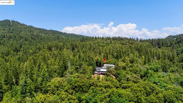 a view of a bench in middle of the green field