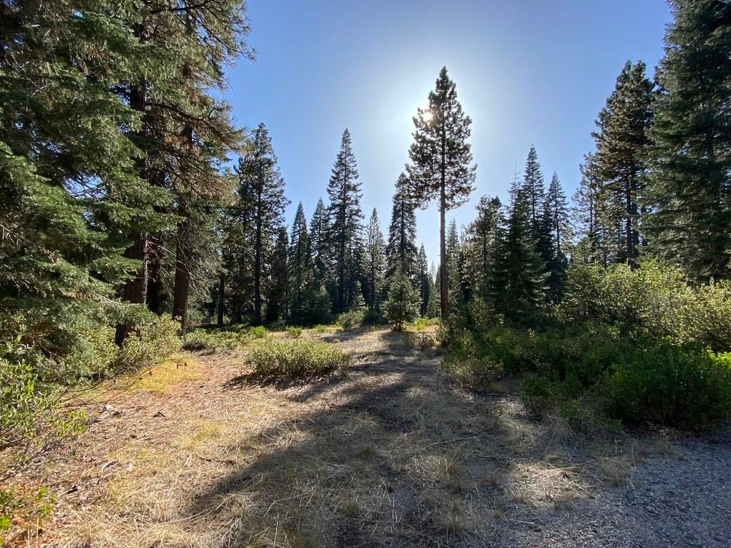 3-e-41 Red Fir Road McCloud, CA 96057 - Photo 2 of 38 Gallery Image 2