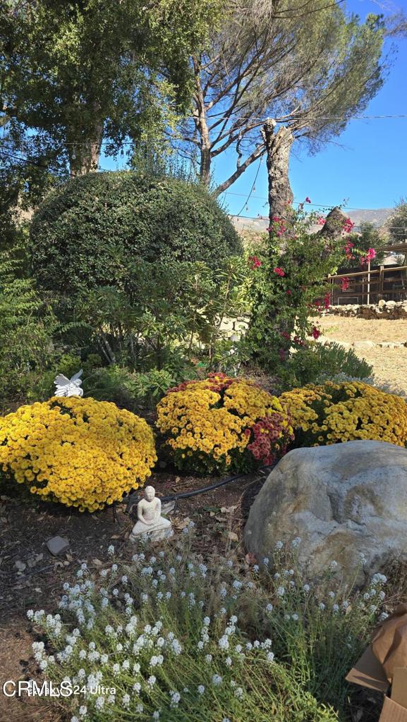 1450 McAndrew Road Ojai, CA 93023 - Photo 27 of 58 image(9)