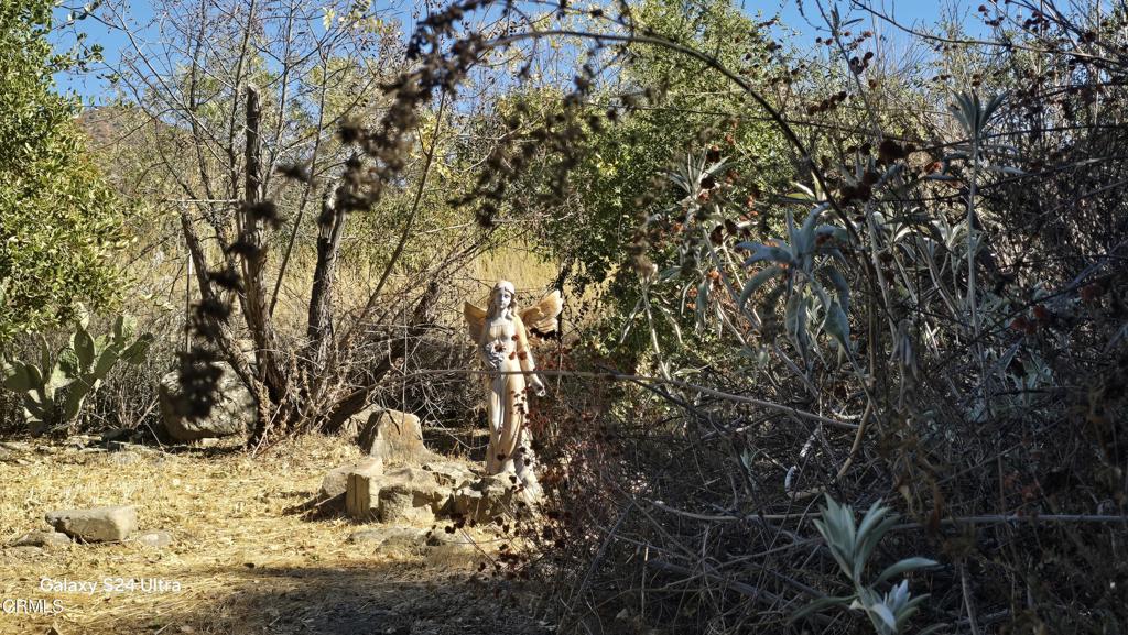 1450 McAndrew Road Ojai, CA 93023 - Photo 30 of 58 a view of a yard covered with snow in the background