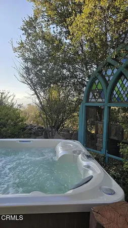 a view of a yard with plants and large trees