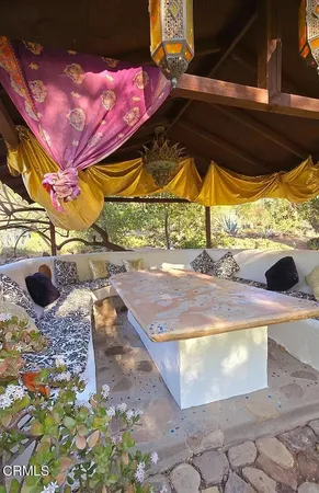 a view of a yard with plants and trees