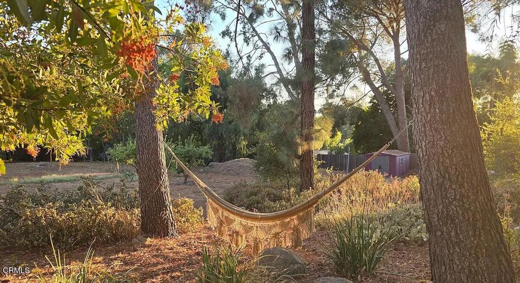 1450 McAndrew Road Ojai, CA 93023 - Photo 50 of 58 a view of a yard in a house