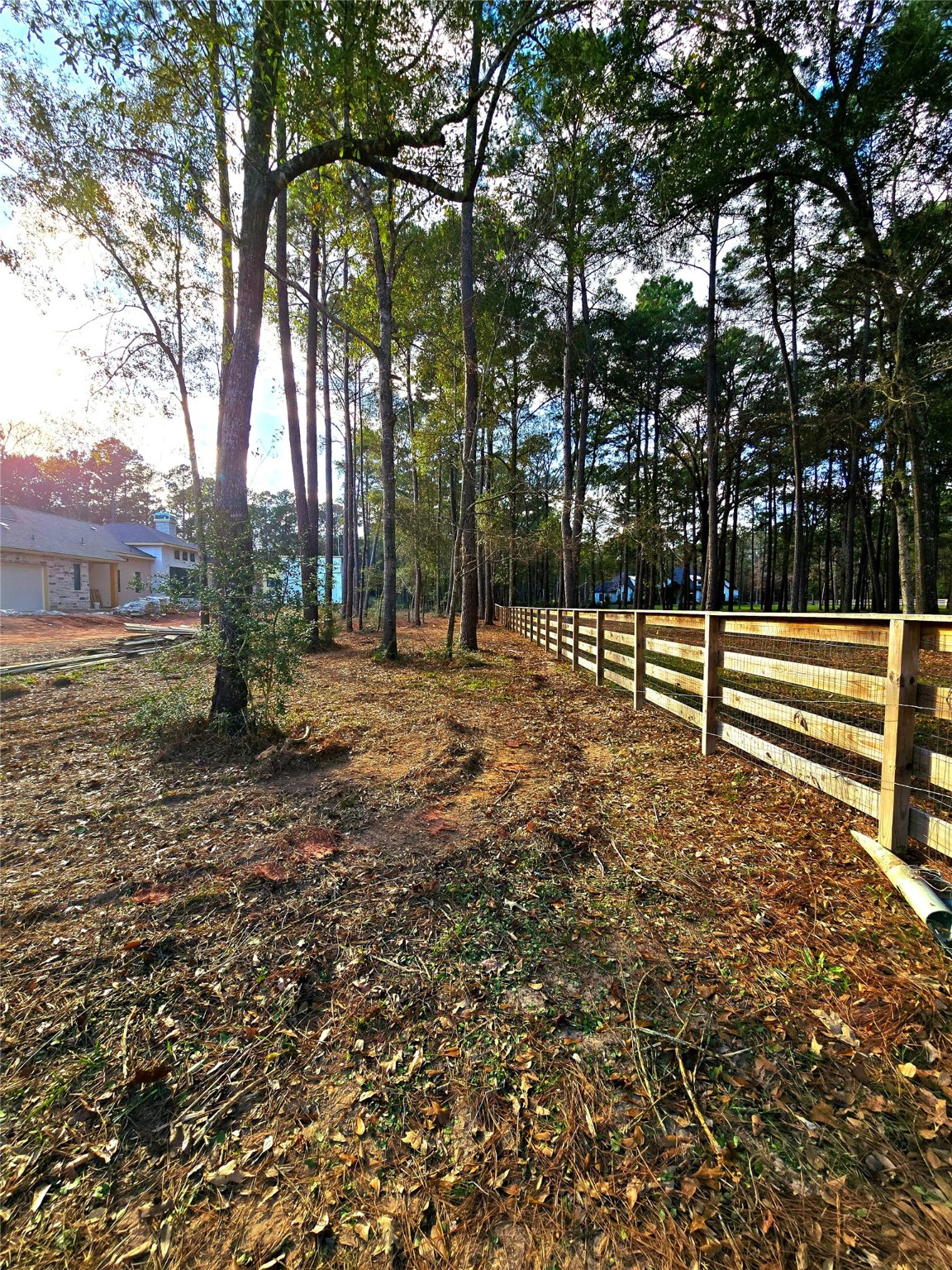 28028 Crossway Oaks Magnolia, TX 77355 - Photo 10 of 15 a view of outdoor space with deck and trees