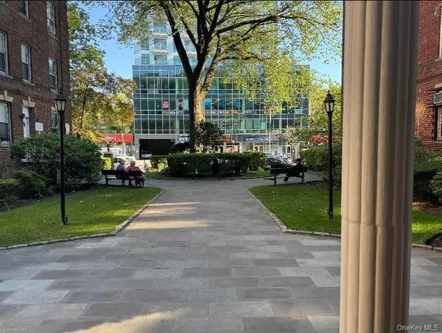 a view of a park with large trees