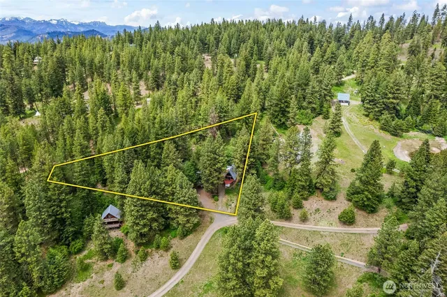 a view of a lush green forest with lush green forest