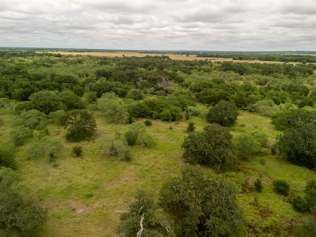 8 County Road 178 Riesel, TX 76682 - Photo 12 of 36 Overview of rural landscape