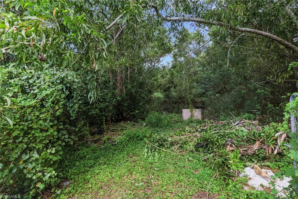 3341 2nd Avenue Southeast Naples, FL 34117 - Photo 27 of 43 a view of a lush green forest