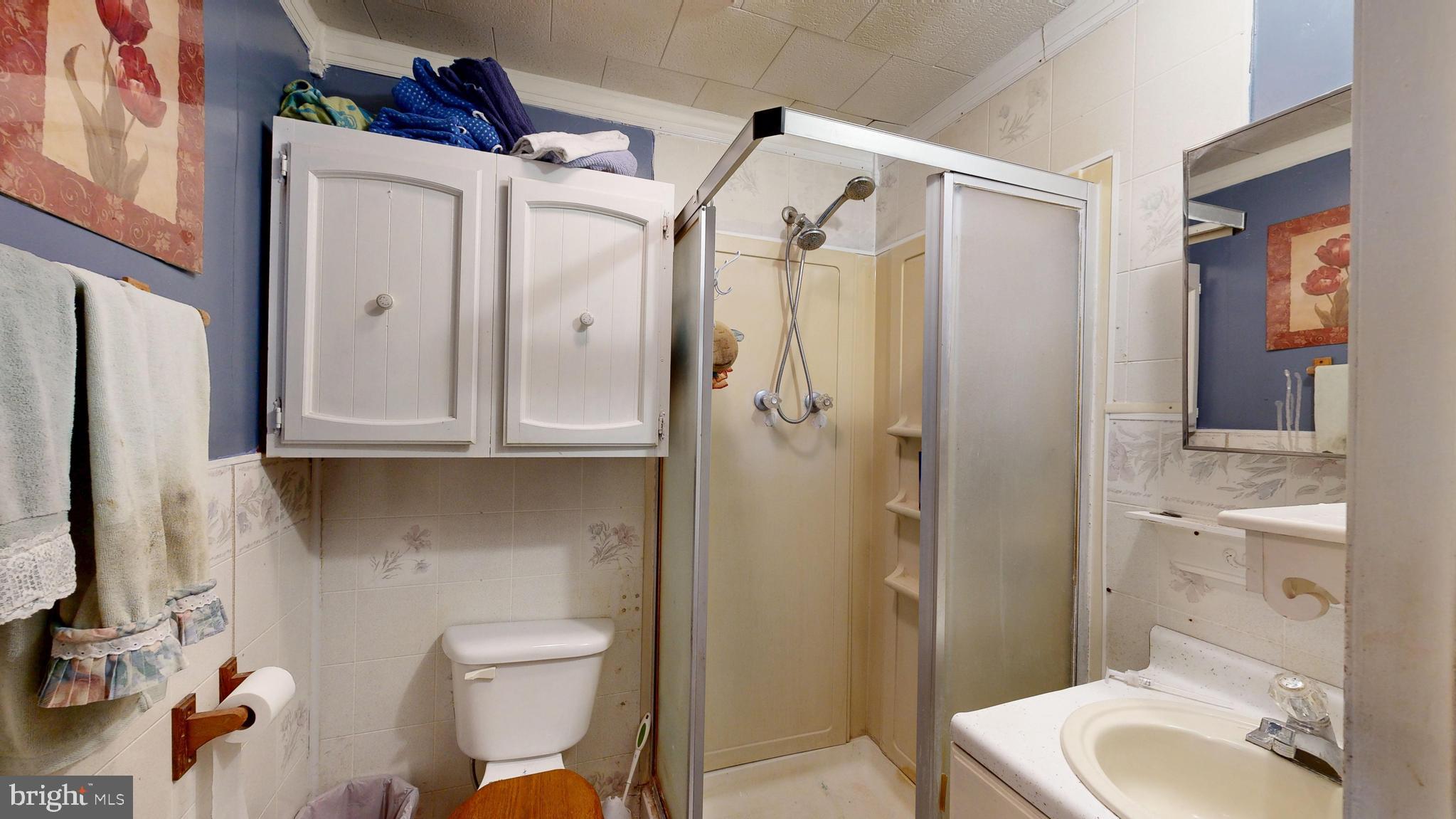 5403 Willow Grove Road Camden Wyoming, DE 19934 - Photo 22 of 42 a bathroom with a sink toilet and shower