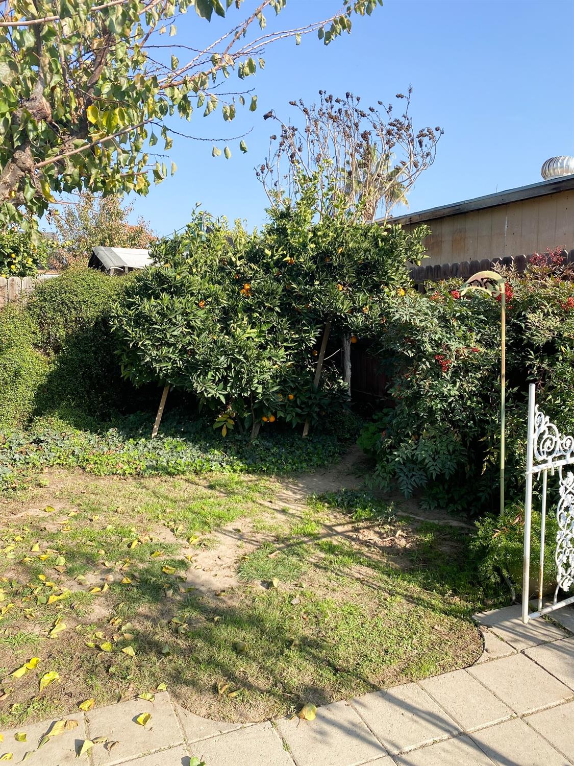 1428 East Springfield Avenue Reedley, CA 93654 - Photo 23 of 25 Gallery Image 23