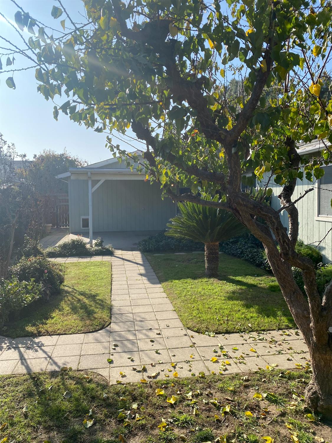 1428 East Springfield Avenue Reedley, CA 93654 - Photo 24 of 25 Gallery Image 24