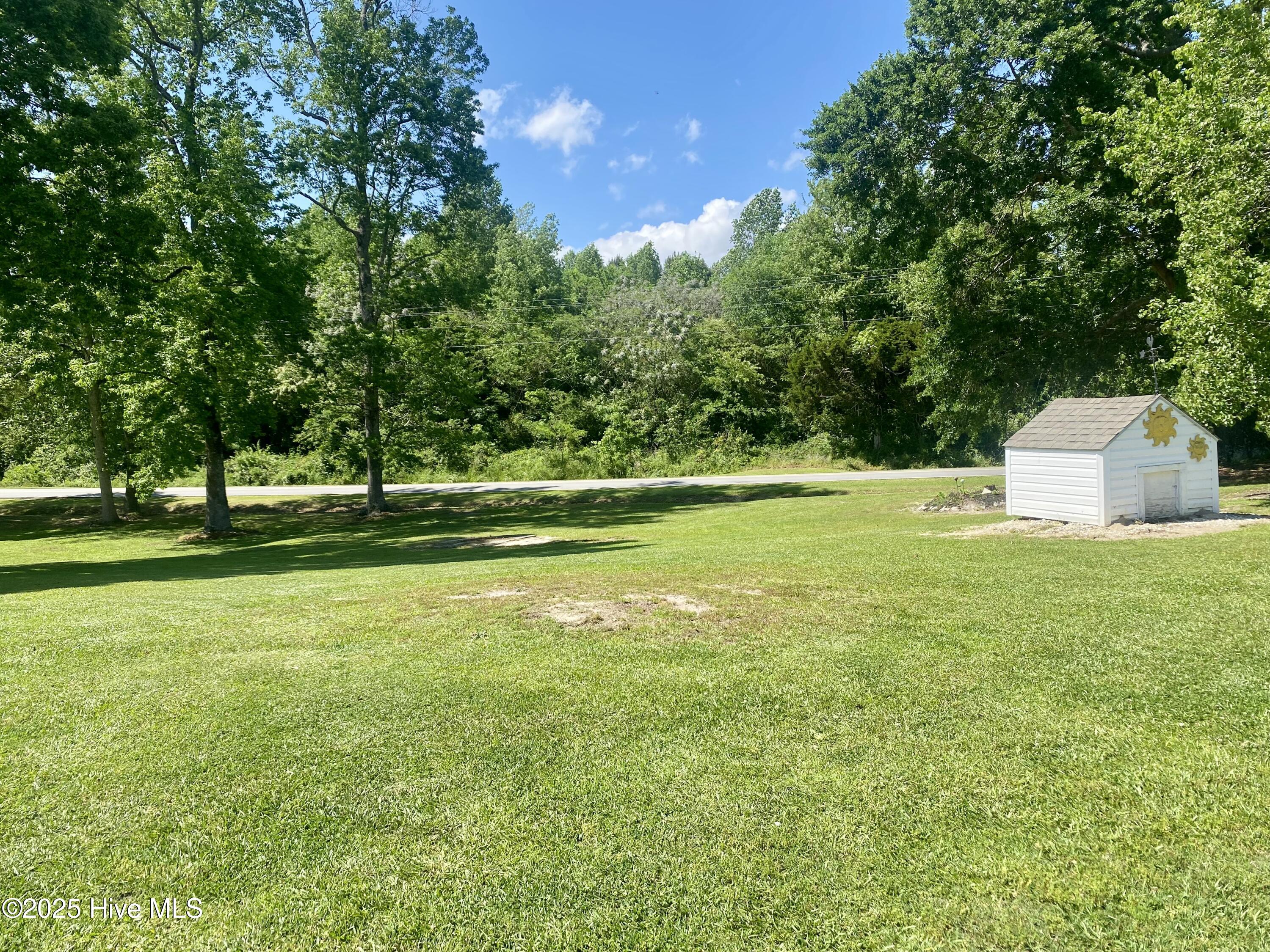 1189 Pinkney Road Pikeville, NC 27863 - Photo 10 of 78 IMG_4717