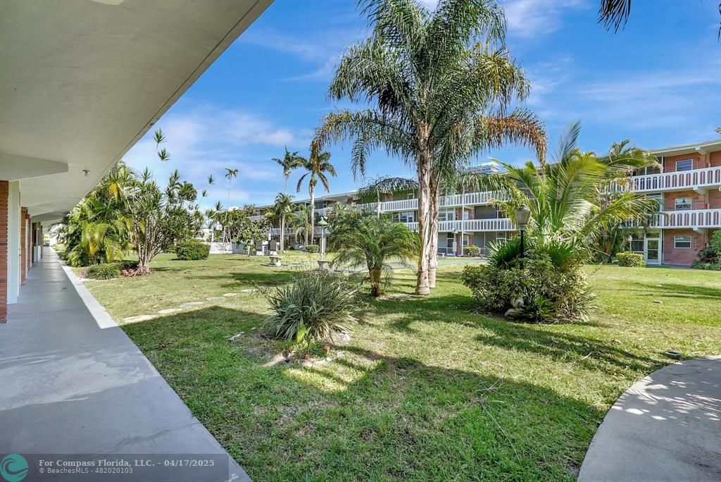 161 Northeast 10th Avenue, Unit 14A Hallandale Beach, FL 33009 - Photo 2 of 45 a view of a garden with a building in the background