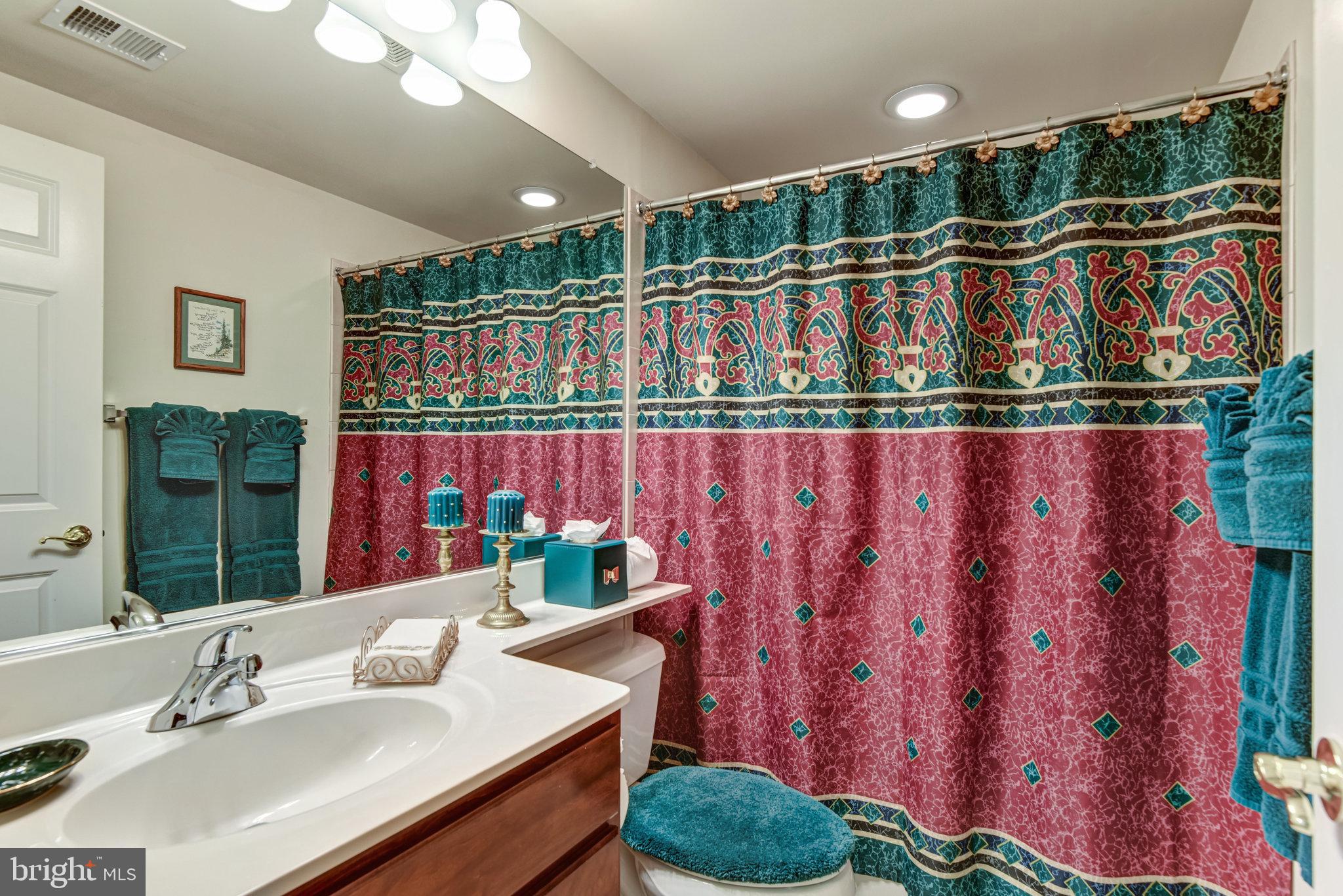 24958 Brookbark Terrace Chantilly, VA 20152 - Photo 22 of 26 a bathroom with a sink a mirror and a shower