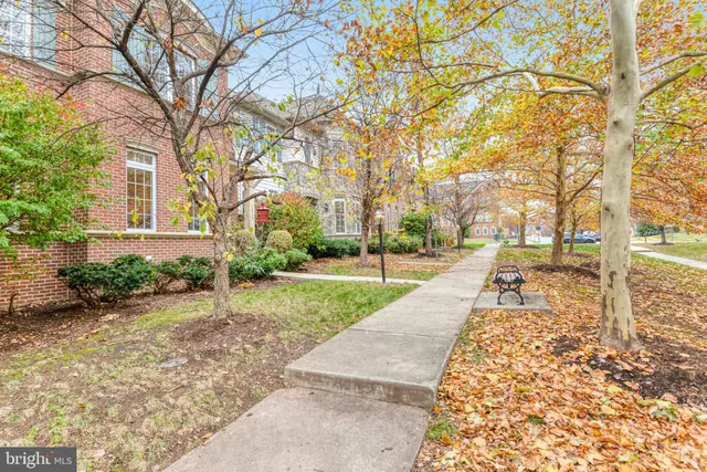 a view of a park with plants and trees