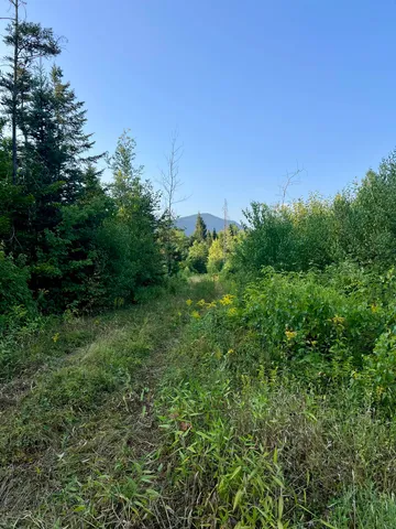 $500,000 | 0 Main Road, Center Conway, NH 03813