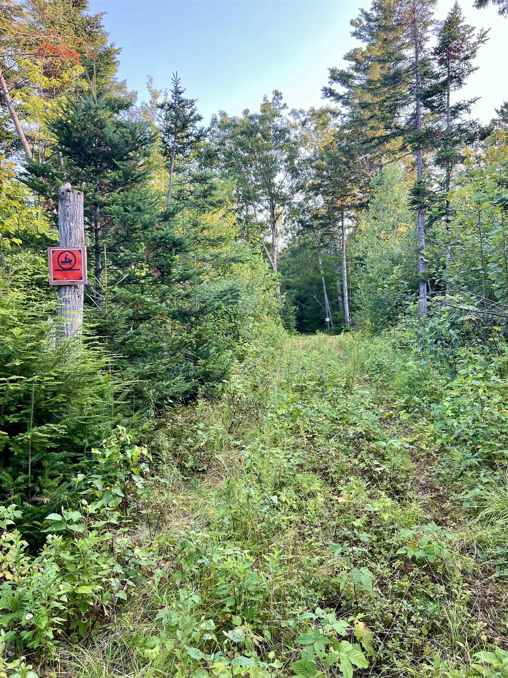 0 Main Road Center Conway, NH 03813 - Photo 12 of 17