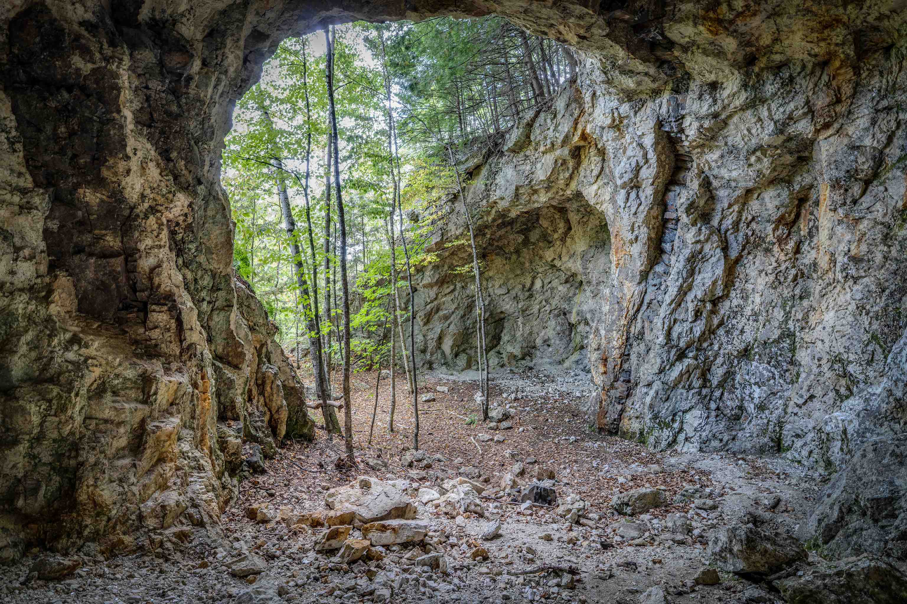 0 Main Road Center Conway, NH 03813 - Photo 4 of 17