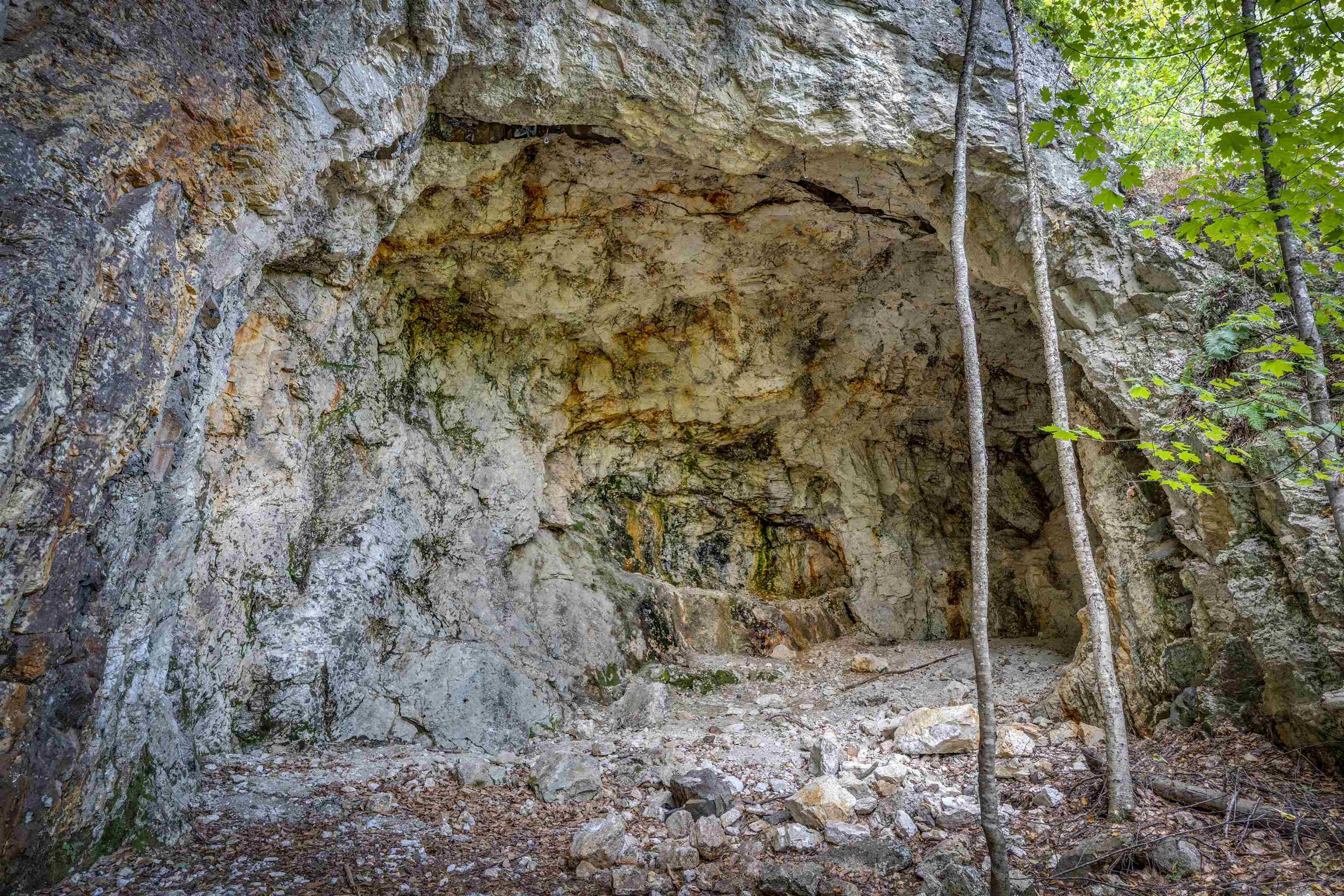 0 Main Road Center Conway, NH 03813 - Photo 7 of 17