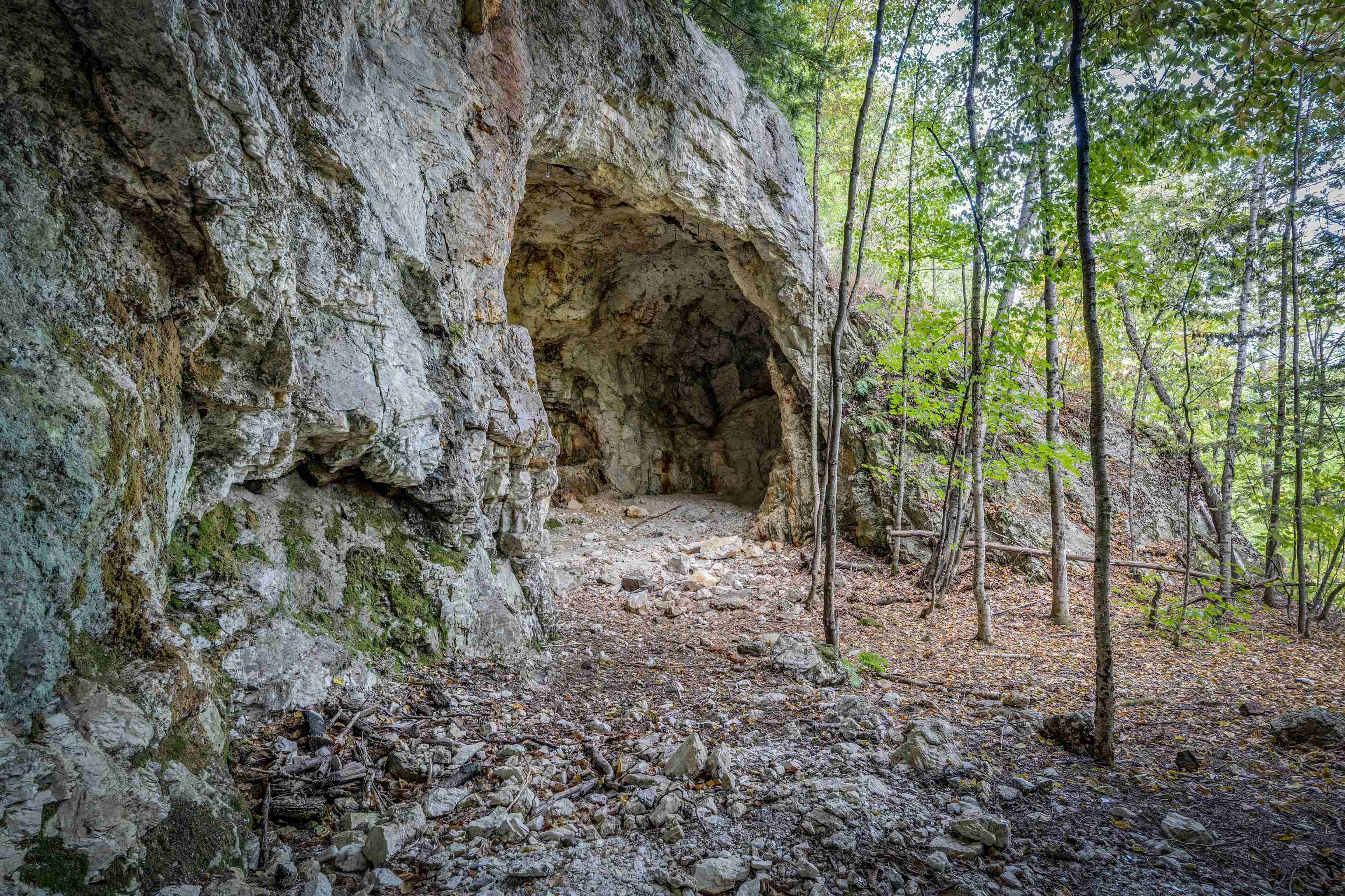 0 Main Road Center Conway, NH 03813 - Photo 8 of 17