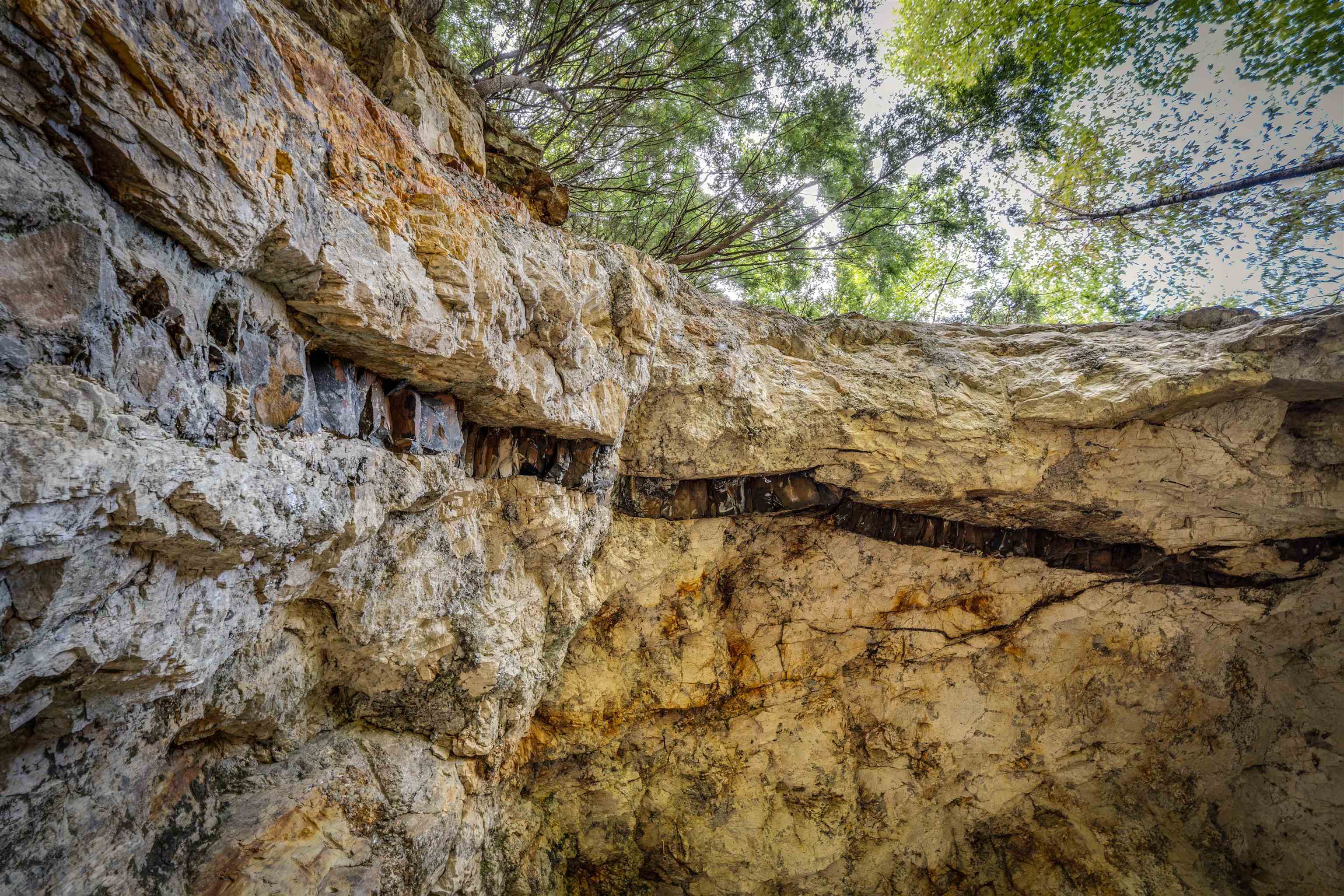 0 Main Road Center Conway, NH 03813 - Photo 9 of 17