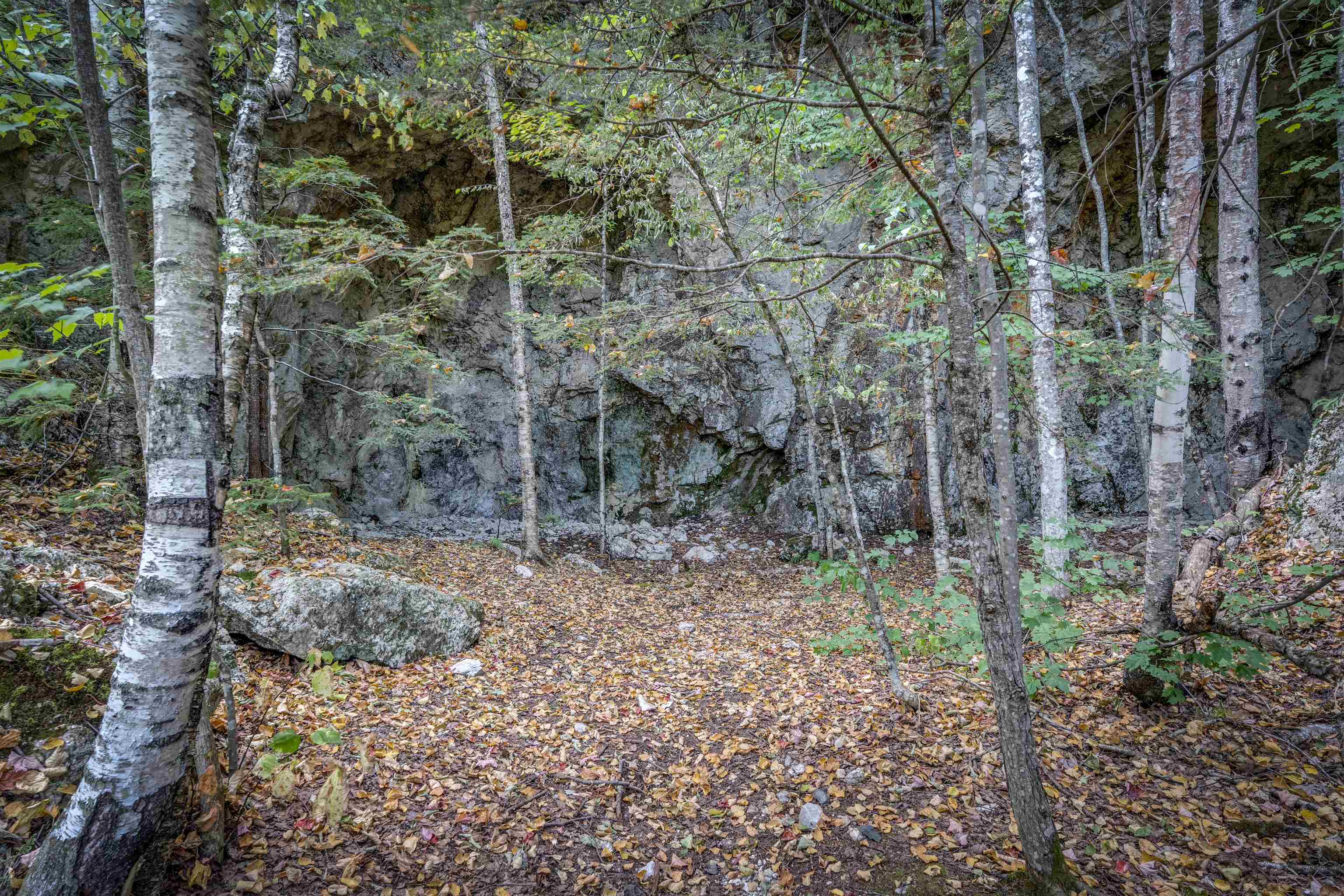 0 Main Road Center Conway, NH 03813 - Photo 10 of 17