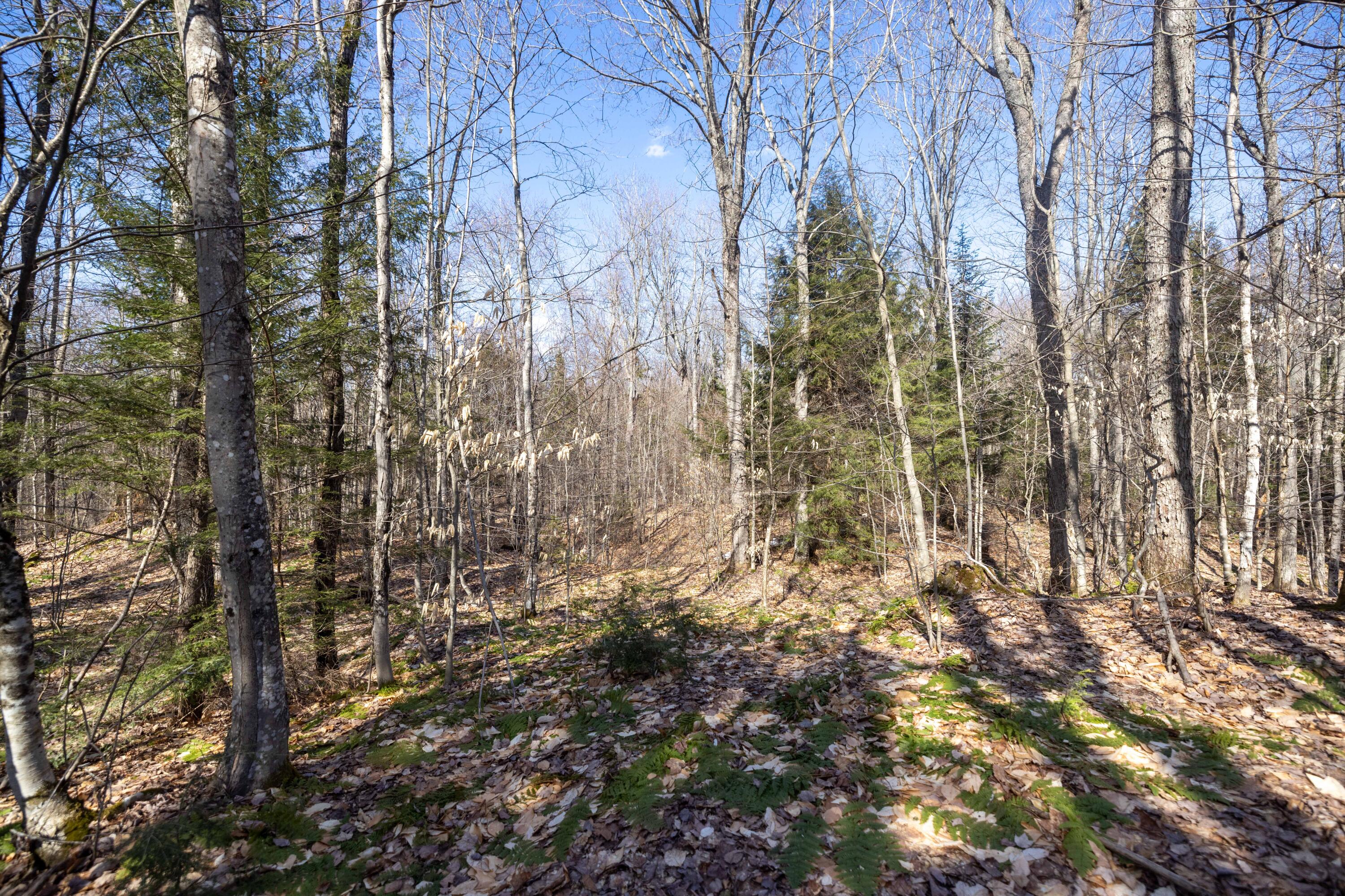 0 Old Grade Road Newberry, MI 49868 - Photo 30 of 31 Gallery Image 30