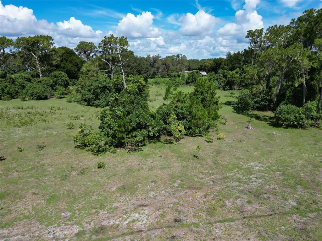 8315 Tom Costine Road Lakeland, FL 33809 - Photo 11 of 50