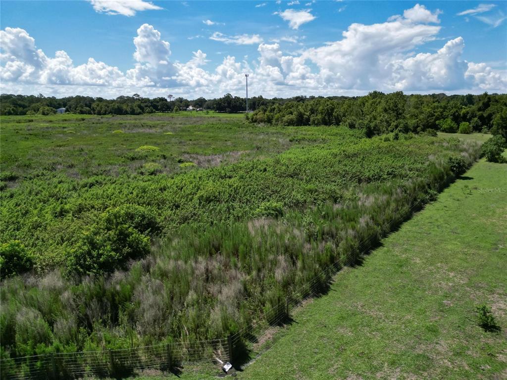 8315 Tom Costine Road Lakeland, FL 33809 - Photo 13 of 50