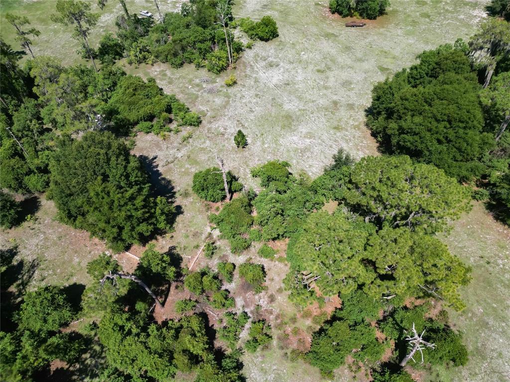 8315 Tom Costine Road Lakeland, FL 33809 - Photo 20 of 50